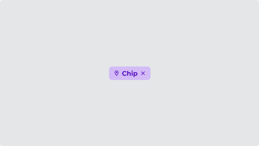 Chip