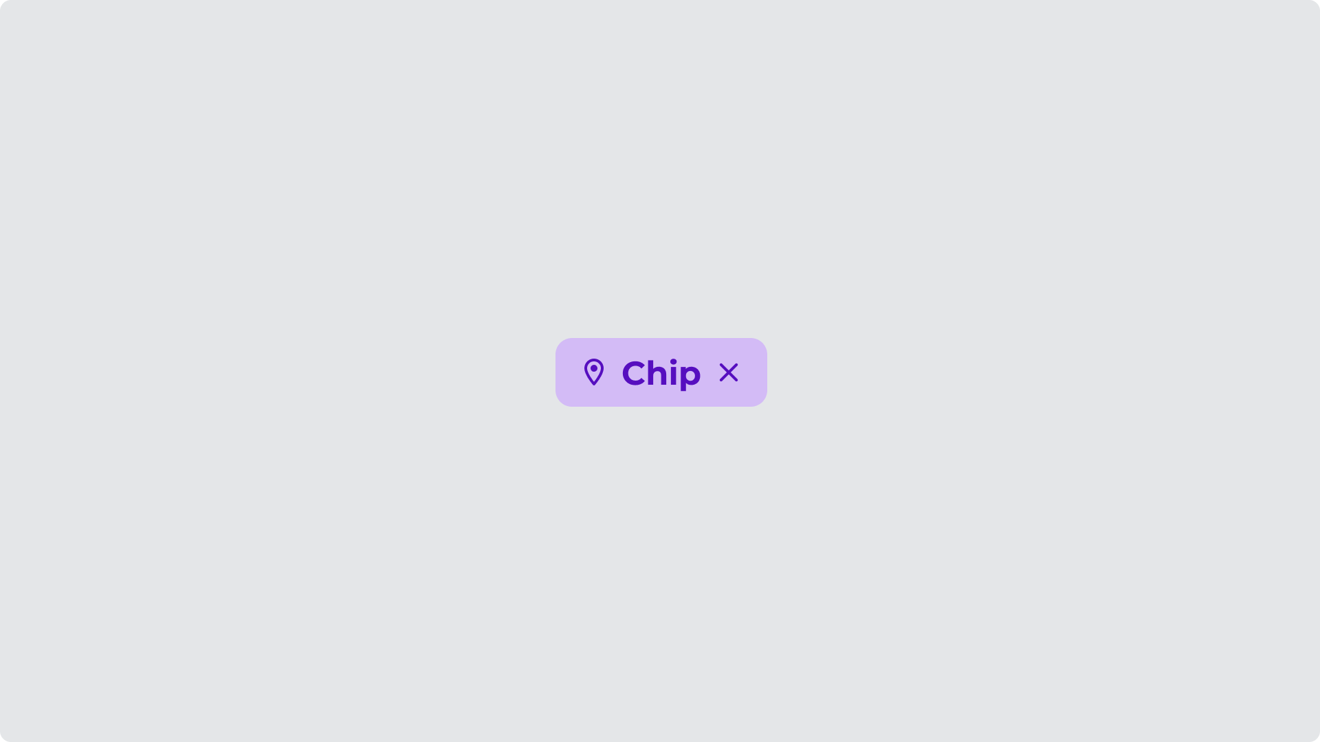 Chip